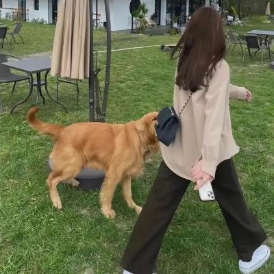 恋爱先生